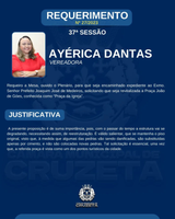 CONFIRA O REQUERIMENTO N° 27/2023 DA VEREADORA AYÉRICA DANTAS.