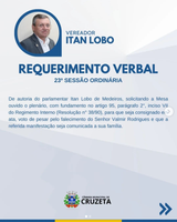 REQUERIMENTO VERBAIS